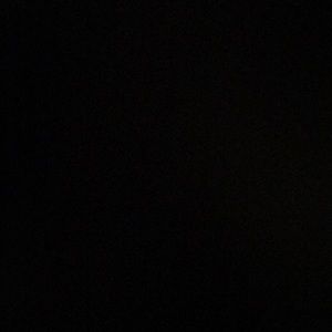 Meet your Posher, Nyla